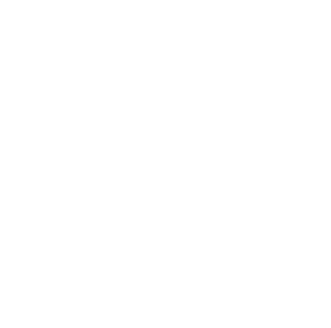 DREAMS Camp logo in white